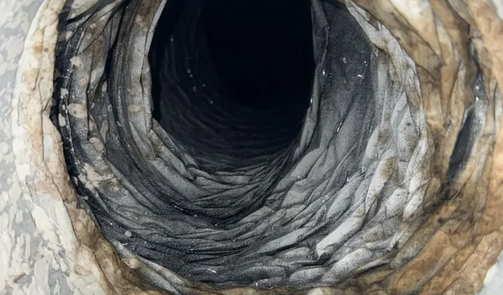 Lint-clogged dryer vent line before cleaning